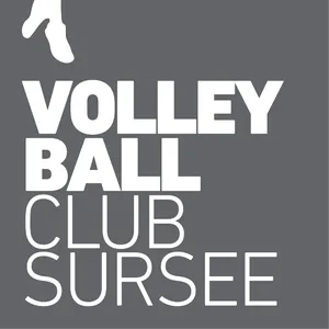 Club Logo VBC Sursee 4