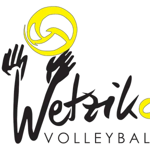 Club Logo VBC Wetzikon D3