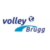 Club Logo VBC Brugg 1