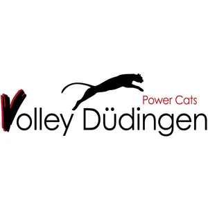 Club Logo Volley Düdingen F2